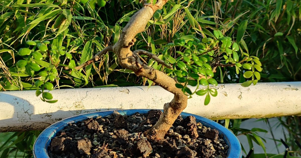 10 Sonnenschirme Mit Balkonbefestigung: Ultimate Kaufguide