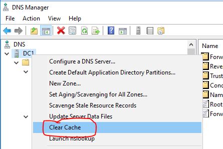 7 Pro Tips To Create Dns Cache Now