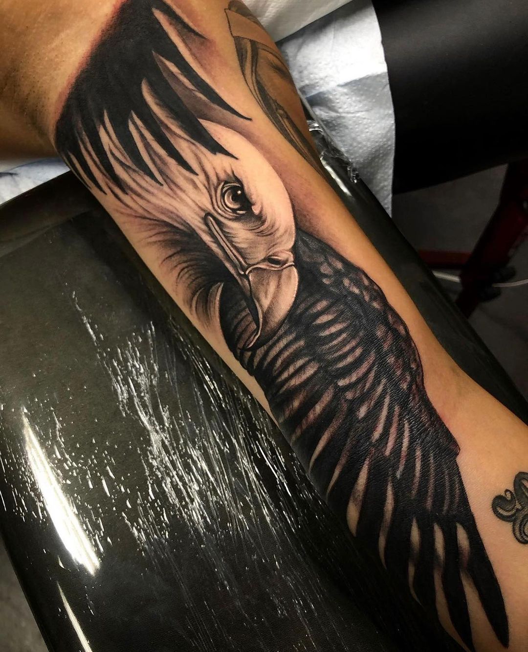 Eagle Tattoos On Arm