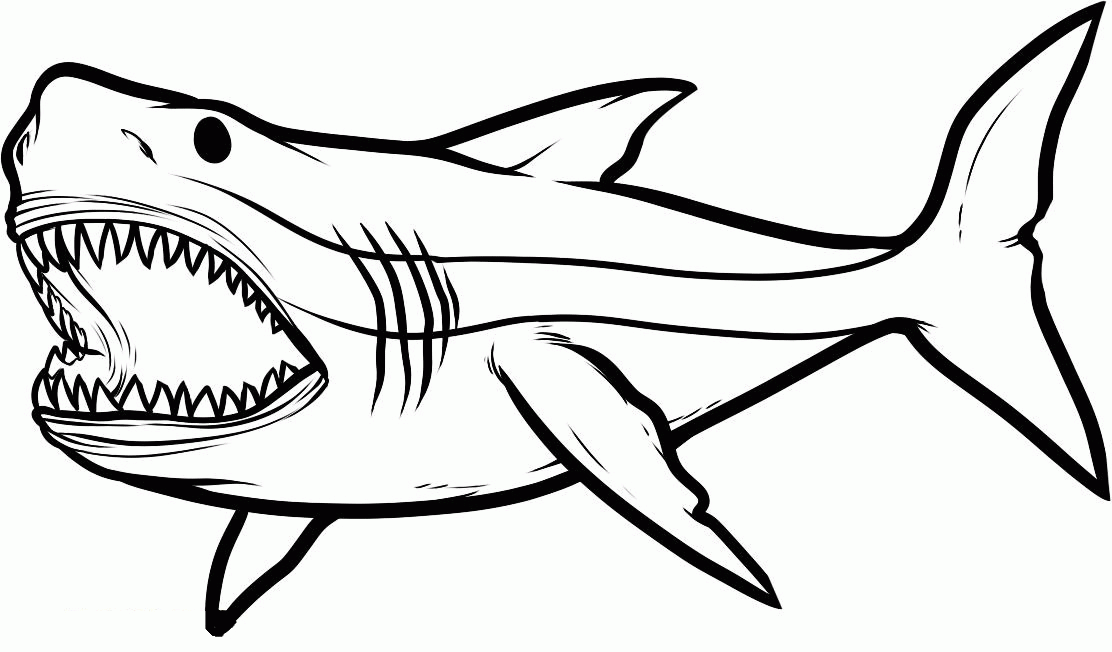 Free Printable Shark Coloring Pages