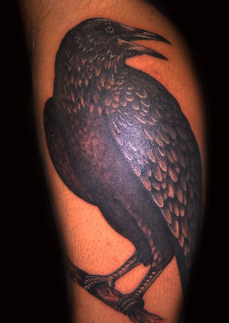 Raven Tattoos Designs Ideas And Meaning Tattoos For You Raven Tattoos Designs Ideas And Meaning Tattoos For You