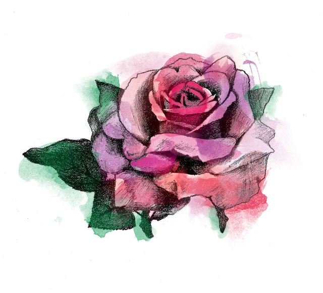 Watercolor Rose Tattoo